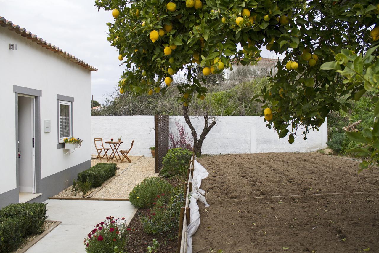 לייריה Casa Do Avo Serra מראה חיצוני תמונה