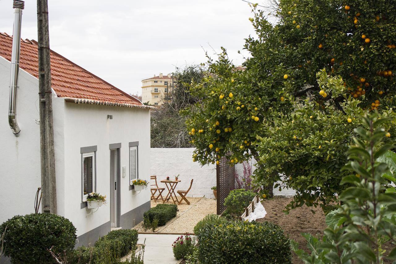 לייריה Casa Do Avo Serra מראה חיצוני תמונה